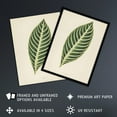 thumbnail image 2 of Vintage Botanical Tiger Plant Leaf Fawcett Framed Wall Art Print 12X16", 2 of 4