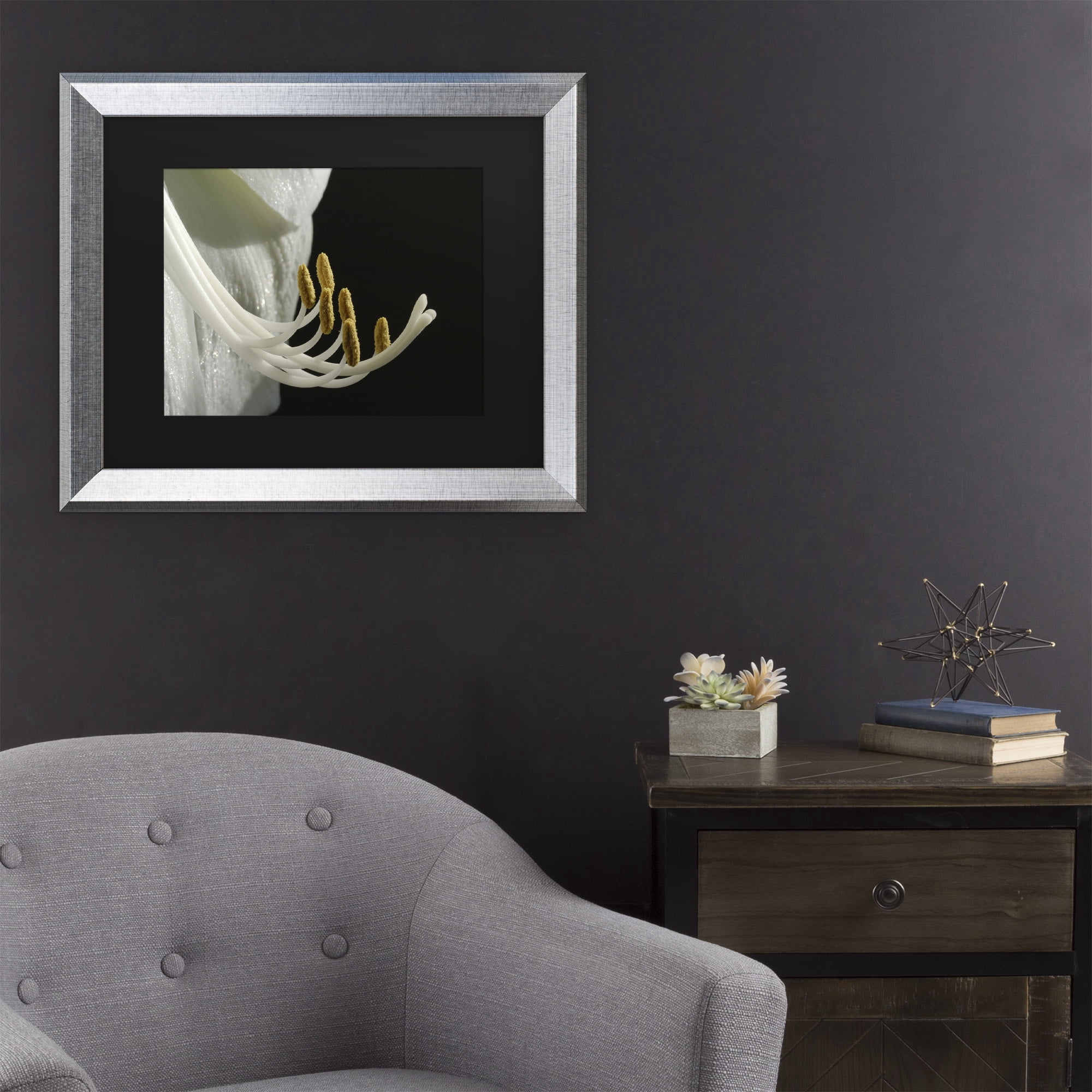 Trademark Fine Art 'Intimate Amaryllis' Canvas Art by Kurt Shaffer