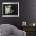 thumbnail image 3 of Trademark Fine Art 'Intimate Amaryllis' Canvas Art by Kurt Shaffer, 3 of 4