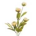 thumbnail image 2 of Ashland Tan Peony Stem, 2 of 5