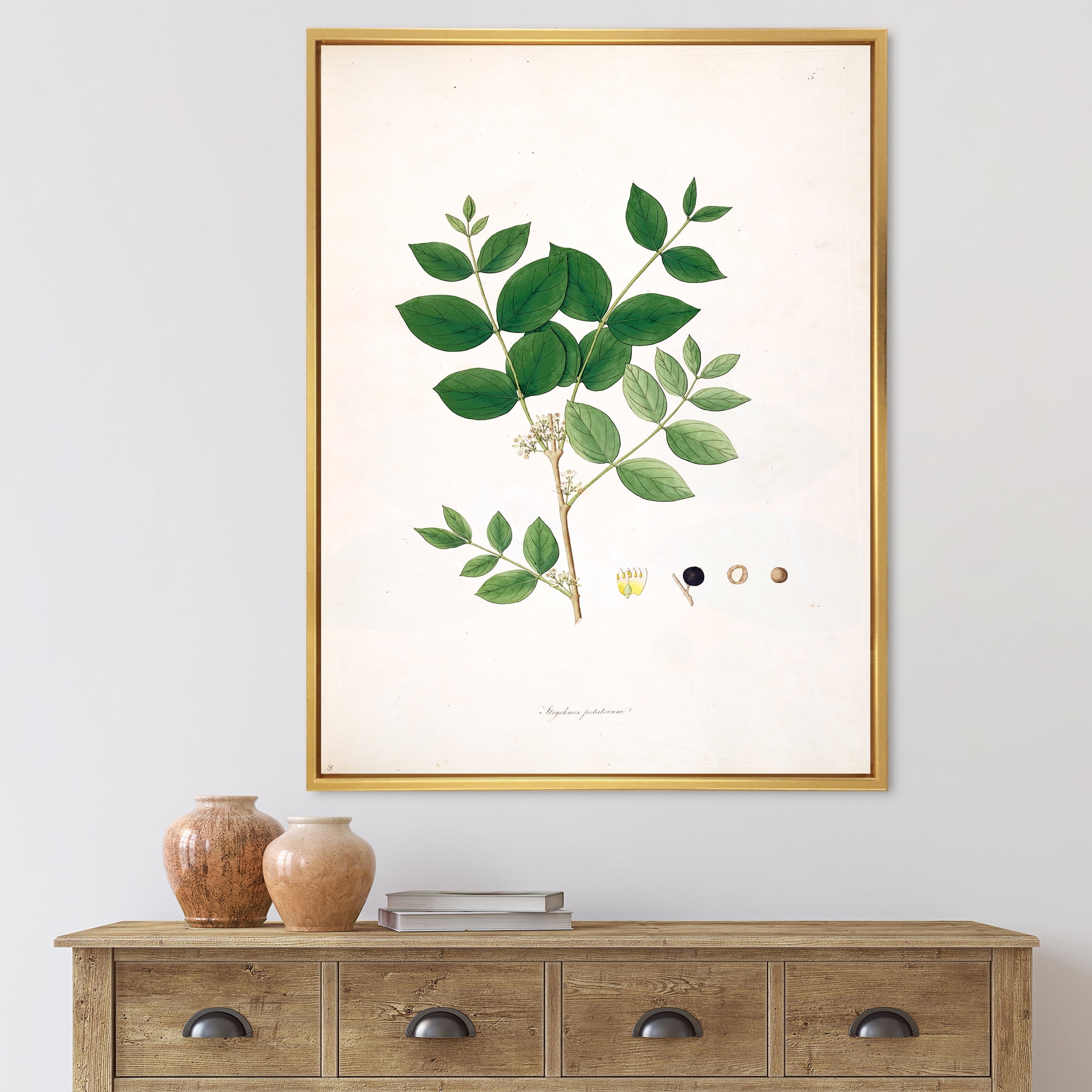 Ancient Botanicals VI 12 in x 20 in Framed Painting Canvas Art Print, by Designart
