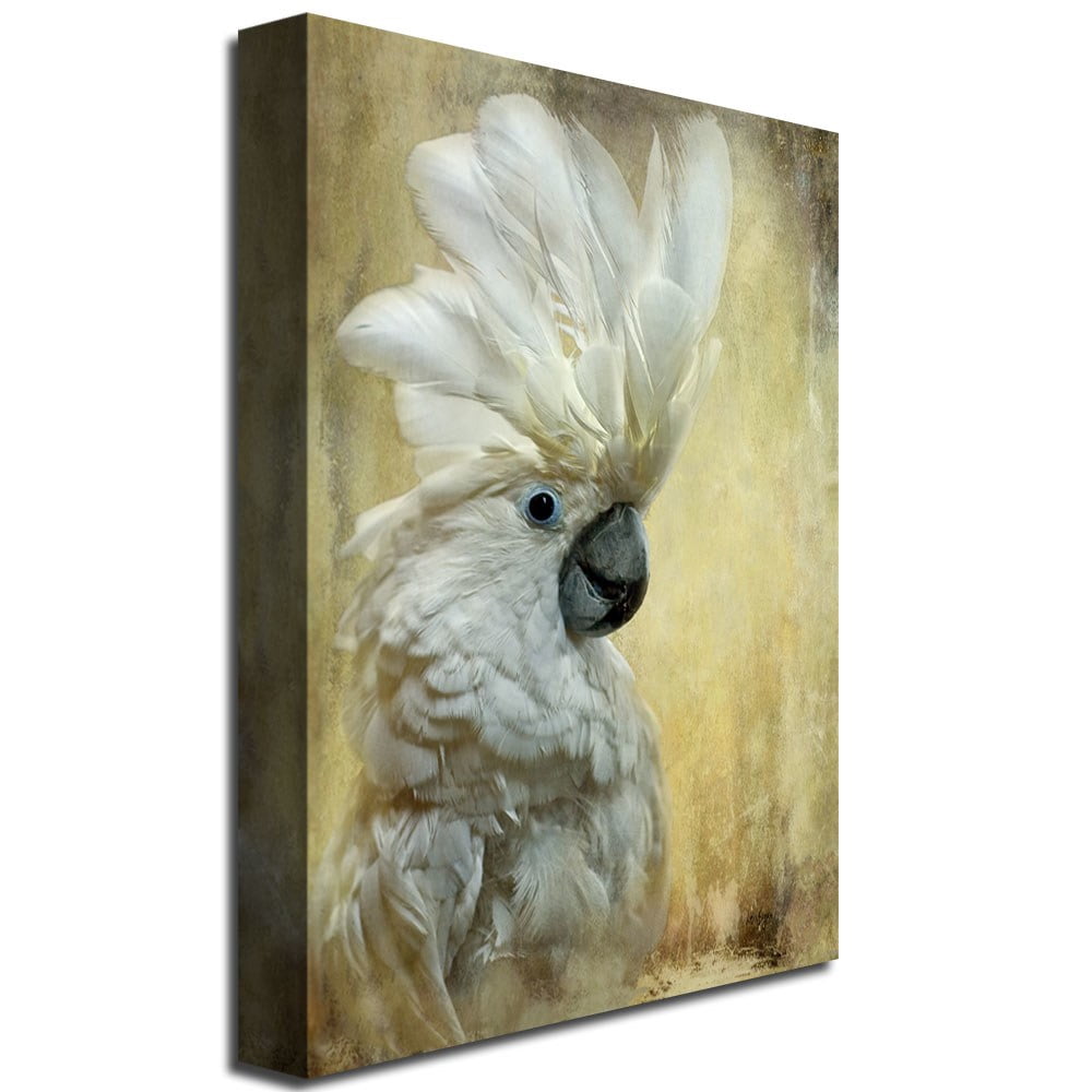 Trademark Fine Art "Cockatoo" Canvas Wall Art by Lois Bryan