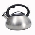 thumbnail image 2 of Tetera silbante de 3 l con asa, de ebullición rápida, portátil, de acero inoxidable, para cocina al aire libre, leche, té y agua, 2 of 7
