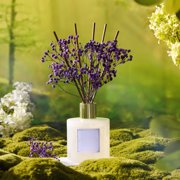 COCORRÍNA Lavender Thyme Reed Diffuser Set, 6.7 fl oz with Dried Flowers, Long Lasting Home Fragrance Air Freshener for Bedroom, Bathroom, Office