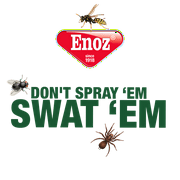 Willert Home Prod. R38 شبكة الأسلاك يطير Swatter. 1 Ct
