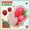 Multicolor, variant on Strawberry Squishies Slow Rising Stress Relief , Realistic Strawberry Shaped Fruit Squeezable Balls, Big Squeezable Strawberry,Soft Flexible Fidget Decompression Gift for Adults