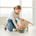 thumbnail image 5 of P.T. Supply Co. Green Flower Shaped Silicone Pet Bowl, with Non-Slip Suction Base, Durable Feeding Dish for Dogs & Cats, 5 of 7