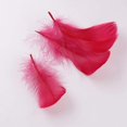 thumbnail image 2 of 450 Pieces Red Feathers for Craft Wedding Home Party Decorations, 3-5 Inches Red Craft Feathers, 2 of 7