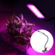 thumbnail image 4 of Luz de crecimiento de plantas con clip; Luz de cultivo LED resistente; Lámpara de cuello de ganso, 4 of 5