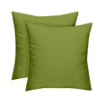 thumbnail image 1 of RSH Decor Set of 2 - Indoor/Outdoor Solid Kiwi Decorative Throw/Toss Pillow - (22" x 22") Choose Size and Choose Color, 1 of 5