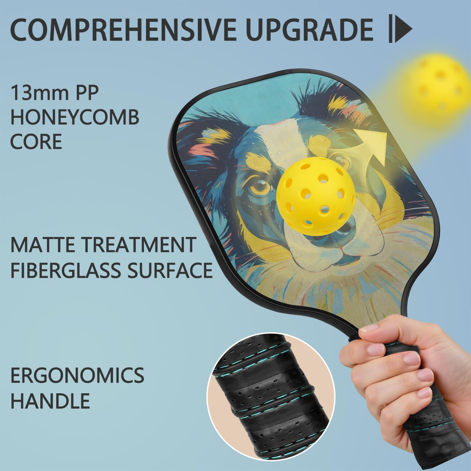 Pickleball Paddles Set Of 2, Fiberglass Surface, Astonished Dog Print, 4 Balls & Bag