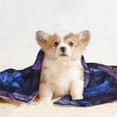 thumbnail image 4 of Disketp Fantasy Dragon In Cathedral Dog Blanket/Bed Cover for Dogs and Cats,Puppy Essentials-Medium, 4 of 8