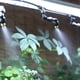 thumbnail image 4 of El Pulverización Sincronización Del Tanque Rainforest Simula La Lluvia Humidificador Cabezal Aspersor Universal Ajustable (10 Metros 4 Cabezales Aspersor, 4 of 9