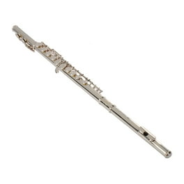 Eastar 16 Key C Flute, Closed Hole, Beginner Musical
