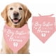 thumbnail image 1 of 1 Bandana triangular ajustable para perro de algodón rosa sin blanquear con temática "Big Sister" (promocionada a Bandanas para mascotas Big Sister), 1 of 9