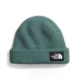 thumbnail image 1 of Gorro THE NORTH FACE Salty Dog con forro de salvia oscura para adulto, 1 of 2