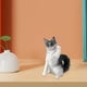 thumbnail image 4 of Modelo de Animal de gato de simulación estatuas en miniatura modelos de Mini , juegos para niños juguetes de animales regalos de navi, 4 of 9