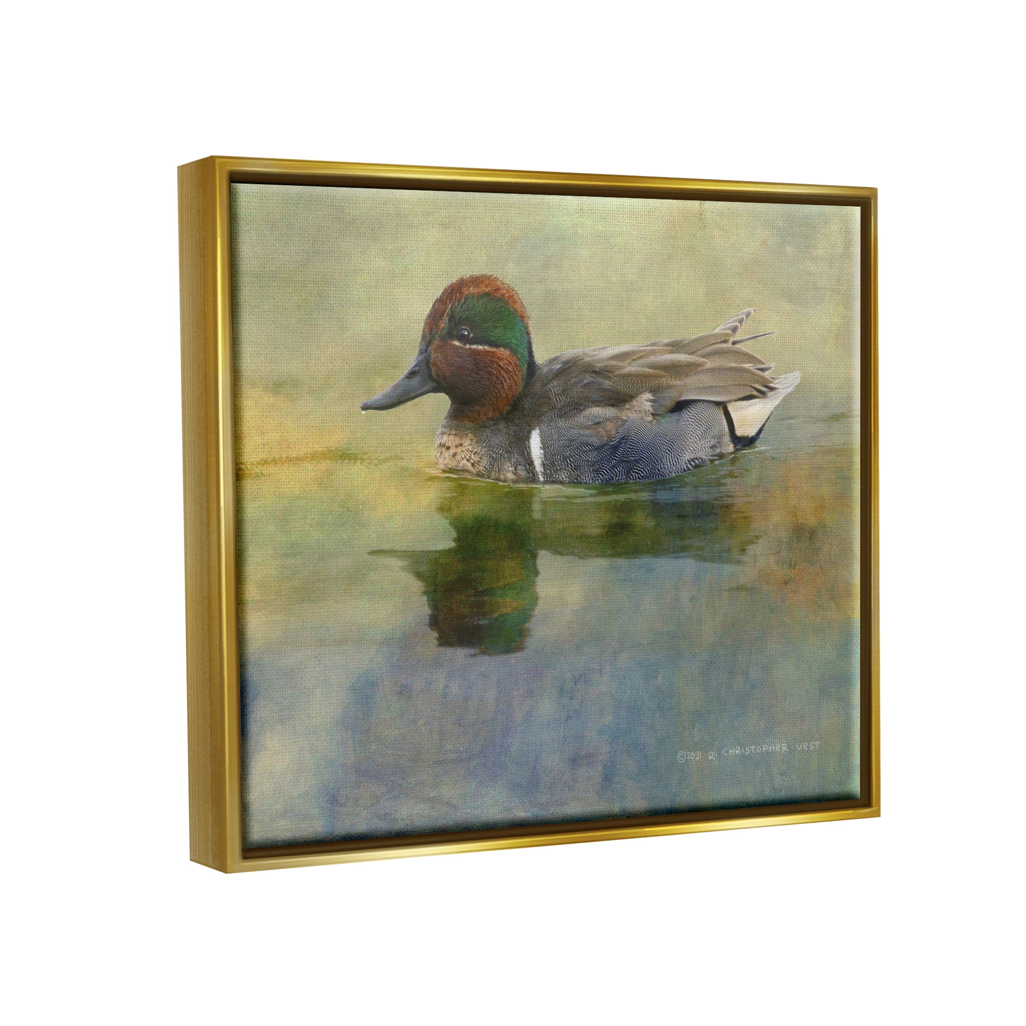 Stupell Wild Duck Nature Pond Wildlife Animals & Insects Photography Gold Floater Framed Art Print Wall Art