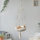 thumbnail image 3 of Cama hamaca para gatos tejida a mano | Columpio bohemio para gatos colgantes de cuerda | Cesta de gatito macramé con cascabeles | Material de algodón duradero | Muebles de interior para mascotas |, 3 of 5