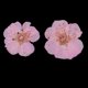 thumbnail image 5 of 12 Piezas Hermosas Flores Secas De Invierno Real Prensadas Flores Secas Para Arte Artesanía Scrapbooking Resina Joyería Artesanía Fabricación Caja Del rosa claro perfecl Flores secas prensadas reales, 5 of 8