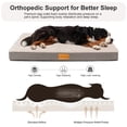 thumbnail image 3 of Exclusivo Mezcla Small Dog Bed with Removable and Washable Cover, Orthopedic Pet Bed for Crates, Non-Slip Bottom and Waterproof Liner, 30"×20", Ivory, 3 of 10