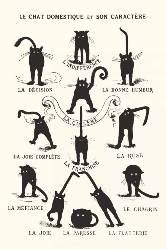 Le Chat Domestique Poster Black Cats Poster Print (24 X 36) - Walmart