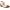 WHITE, variant on PATRIZIA SHANTAY Wedge Sandals with ankle strap buckle closures - Womens Casuals Sandals for Outdoor