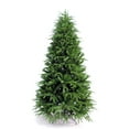thumbnail image 4 of Perfect Holiday 6′ Northern Shasta Fir Full Christmas Tree, Green, 4 of 5