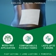 thumbnail image 3 of Biofreeze Menthol Pain Relieving Patches (5 Patches Per Box, Pack Of 3) Up To 8 Hours Of Pain Relief From Sore Muscles, Arthritis, Backaches, Spains, Bruises, Strains And Joint Pain (Package May Vary), 3 of 9