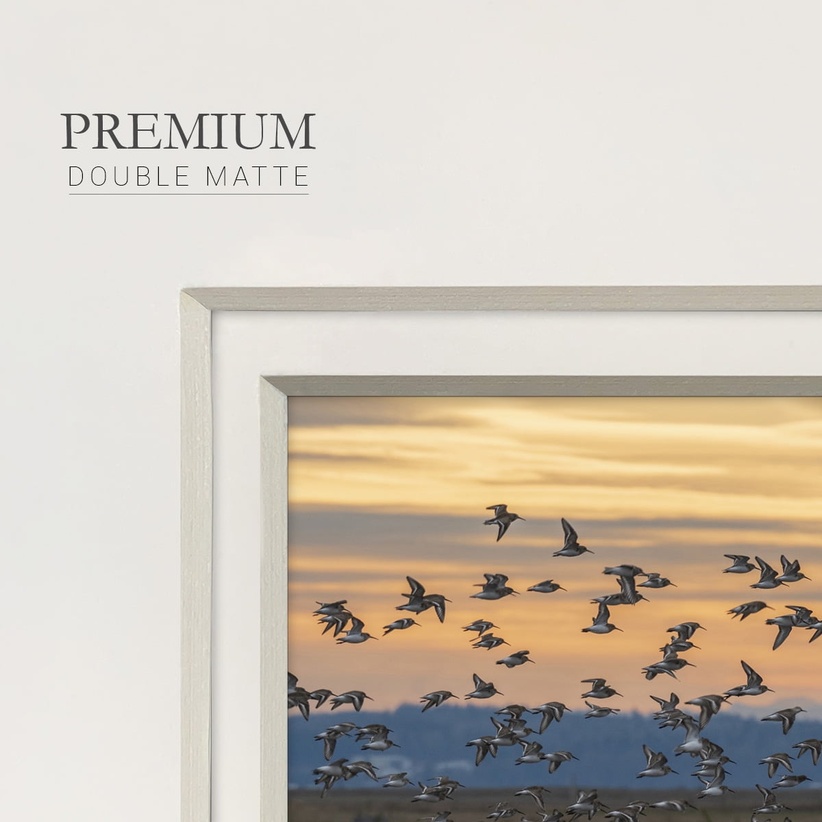Sunset FlightPremium Framed Print