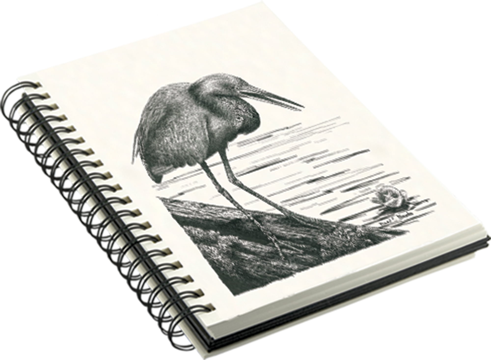 Creative Mark Double Wire Spiral Bound Field Sketch Book [160 Pages - 11 x 14"], Black Embossed Leatherette Journal, Light Cream Acid-Free Paper, Perfect for Dry Media and Drawing