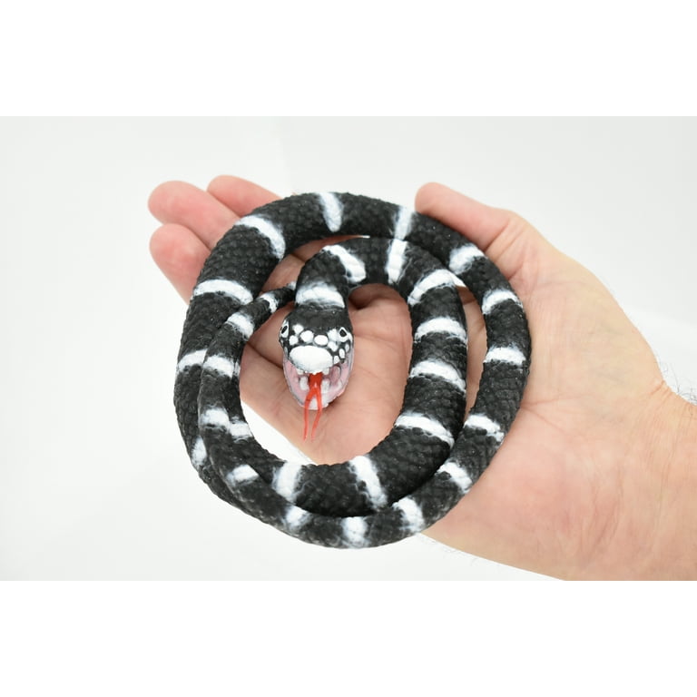 Snake, California King Snake, Coiled, Rubber Reptile, Educational