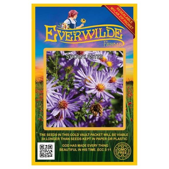 Everwilde Farms - 1750 Showy Aster Native Wildflower Seeds - Gold Vault Seed Packet