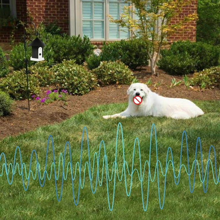 How To Stop Dog Barking In Backyard