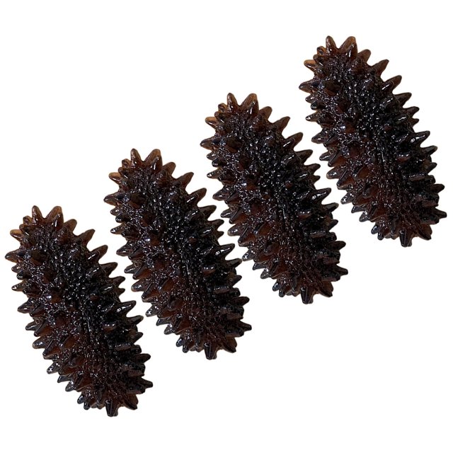 4 Pcs Modèles Réalistes de Concombres de Mer Modèles de Nourriture de Simulation de Restaurant Faux Accessoires de Concombres de Mer