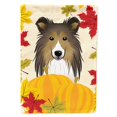 thumbnail image 1 of Bandera Sheltie Thanksgiving Garden pequeña multicolor Caroline's Treasures BB2048GF, 1 of 1