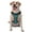 With Accessories, variant on Vsdgher Leopard 1 Pattern Dog Harness,No Pull Pet Harness with Soft Padded Handle,Adjustable Reflective Vest with 2 Buckles,4 Slide Buckles,S-XL Small
