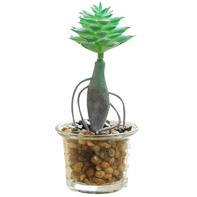 Coofit Artificial Succulent Plant Mini - Faux Potted Succulent Home Desktop Decoration