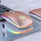 thumbnail image 1 of Ratón Óptico Inalámbrico De 2,4 Ghz Usb Recargable Rgb Ratones Inalámbricos De Poco Ruido Para Computadora Portátil De Escritorio seitruly EL017363-03, 1 of 5