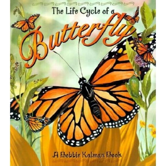 Life Cycle Butterfly, (Paperback)
