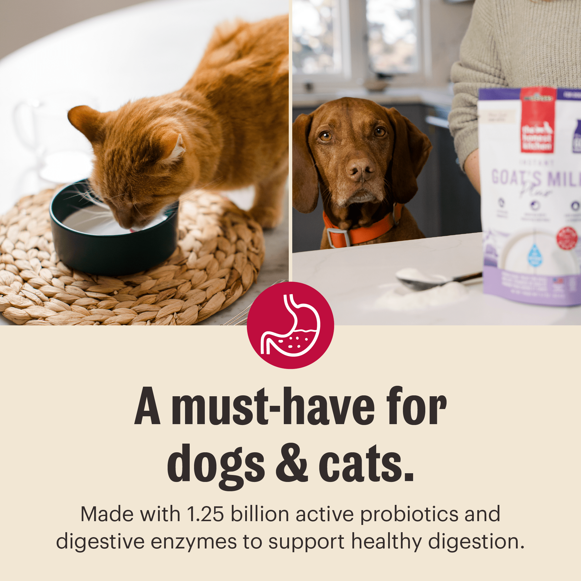 The Honest Kitchen Instant Goat’s Milk with Probiotics for Dogs and Cats, Human Grade Powder Drink Mix, Digestive Health Support, Food Topper or Treat, Just Add Water, 11 oz Pouch Makes 127 oz
