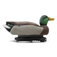 thumbnail image 2 of Final Approach HD Series Floating Mallard Duck Decoys, 12 Pack, 2 of 9