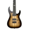 ESP E-II M-II-7 NT Hipshot 7-String Electric Guitar(Dark Brown Natural Burst)
