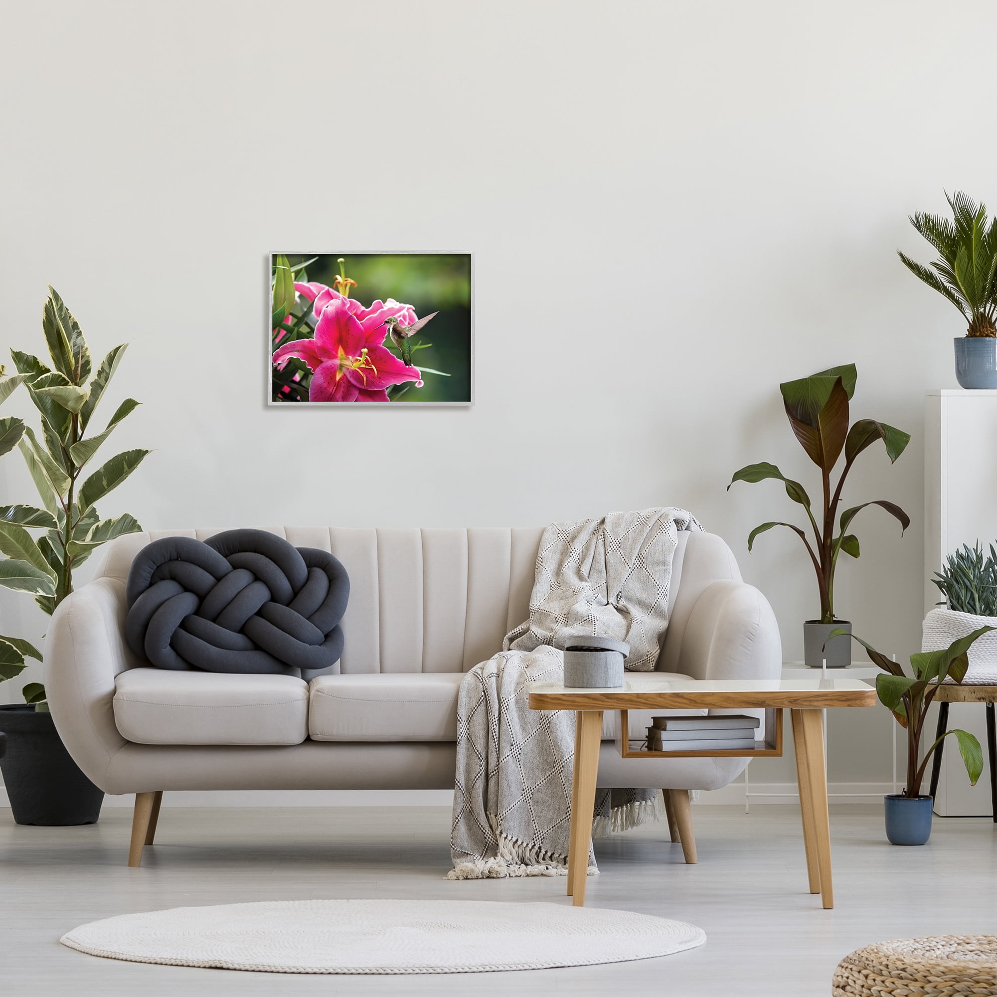Stupell Industries Hummingbird with Hibiscus Animals & Insects Photography Gray Framed Art Print Wall Art, 20 x 16