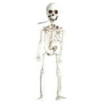 thumbnail image 5 of Halloween Human Skeleton Oversized Poseable Full Life Size Decoration Party Prop, 5 of 5