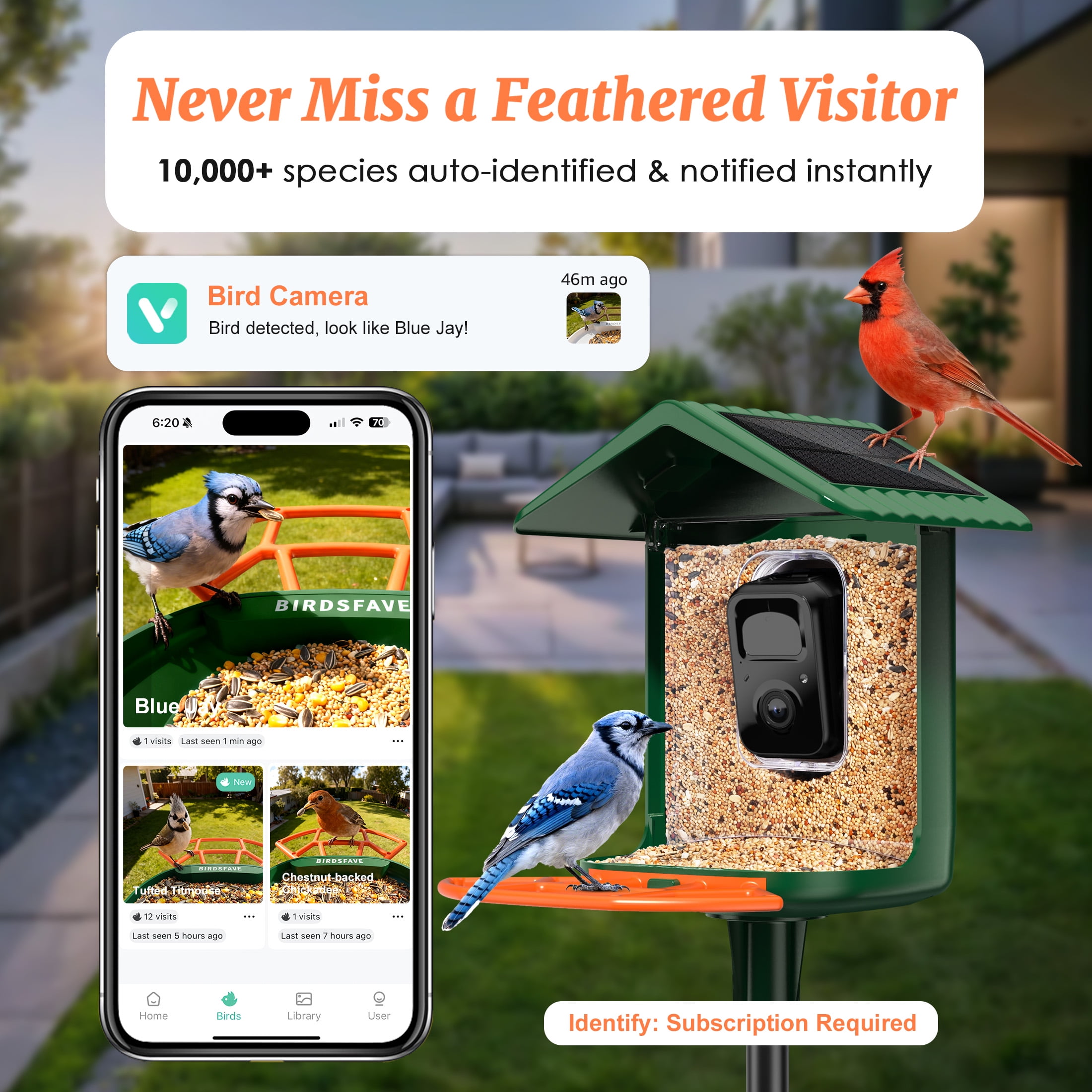 Bird Feeder with Camera Solar Powered 2K HD Live Instant Alert with 32GB Card AI Identify Wildlife Camera Bird Feeder 2.4G Wireless Gift to Mom Dad
