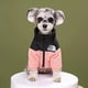 thumbnail image 1 of Winter Warm Thicken Pet Dog Jacket Waterproof Dog Clothes for Small Medium Dogs Puppy Coat Chihuahua French Bulldog Pug Clothing ShopWise Round, 1 of 10
