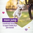 thumbnail image 3 of Wellness Move Hip & Joint Support Chews, Grilled Chicken Flavor, 45ct, 4.8oz, 3 of 8