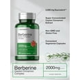 thumbnail image 4 of Berberine with Ceylon Cinnamon | 2000mg | 120 Capsules | by Horbaach, 4 of 8