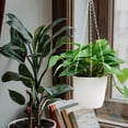 thumbnail image 3 of SOPOTUTU 4PCS Ceiling Hanging Chain with Triple Chain Structure for Hanging Plants in White Color for Home Decoration, 3 of 7